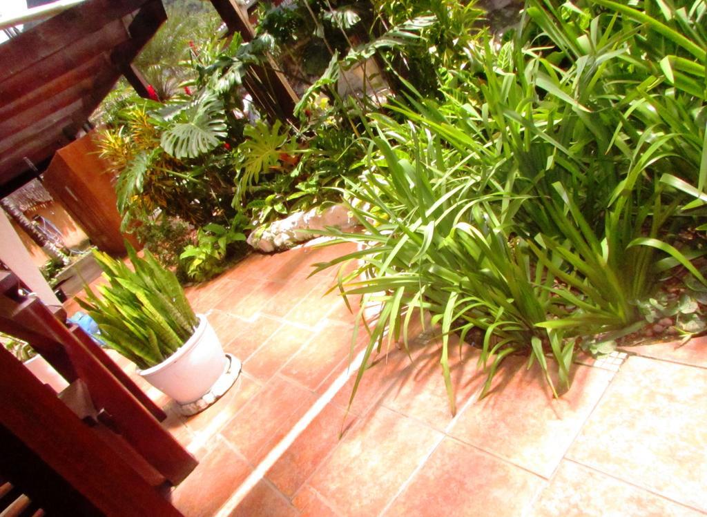 Pousada Flor De Lis Ilha Grande (Rio de Janeiro) Exterior foto